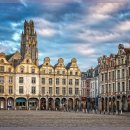 행운동물병원 이미지