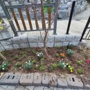 문화공간 가꾸기 이미지