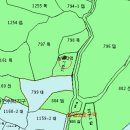 보성공인중개사사무소 티스토리