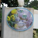 해바리민박 Daum카페