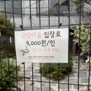 토르첼로