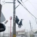오키나와 태풍 근황 이미지
