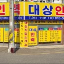 대상인력 네이버블로그