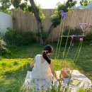 스테이밤밤 이미지