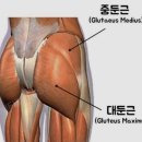 로얄핏PT 이미지