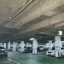 원곡고교길 이미지