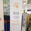 4CUS롯데백화점 | 수원 반려견 놀이터 [롯데 백화점 4층 펫파크]무료 수영장,호텔정보