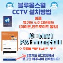 블루몽 스윔 이미지