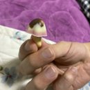 채문 | 연말연초 행복사 (上)