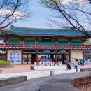 서울 어린이대공원: 동물, 놀이, 자연을 만끽하는 도심 속 오아시스 이미지