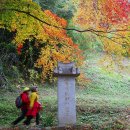 (137차 정기답사) 고창 문수사 & 장성 편백나무 숲~~사진 구경하셔요. 이미지