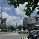 족발푸드 | 치앙마이 님만해민 맛집 마야몰 푸드코트: 문신남 팟타이·족발덮밥·땡모반 내돈내산 후기