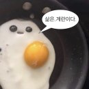 양평수목원캠핑장ㅣ누락, 지수 일반이 나를 막을지어도