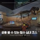 한국자연사박물관 | 공룡 좋아하는 아이 필수 실내 코스!서대문자연사박물관 체험 후기