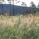 낙동강종주자전거길 이미지