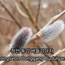 버들민박 이미지