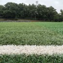 어린이대공원잔디축구장 네이버블로그