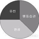임재환 복싱월드 이미지