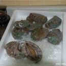 도초보건지소 이미지