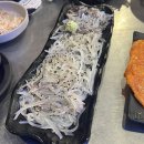 대구활어 | 대구 신천시장 맛집 “싱싱포차산오징어활어” 대구 신천점 후기