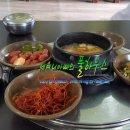 낙동강산오리 이미지