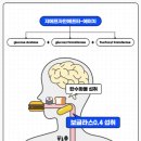 에이치팜 이미지