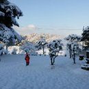 하얀둥지 이미지