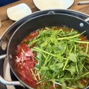 쌍용자동차 양천서비스 프라자 | [서울식물원 맛집 양천샤브 손칼국수] 맛도 좋고 건강에도 좋은 찐맛집