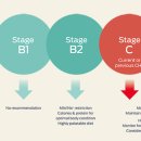 더클래스동물메디컬센터 이미지