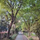 푸른길근린공원 이미지