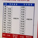 혼밥셔틀