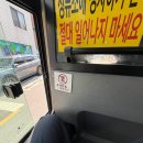 외할머니 해장국 종로3가점 | 종묘해장국 종로 3가 야장 후기