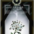 예가광고 이미지