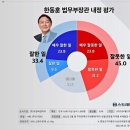 한동훈 장관내정 여론조사 부정 45% 긍정 33.4% 이미지