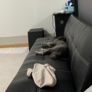 투독플레이스펜션