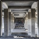 대림도서관 이미지