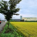 평궁사거리 이미지