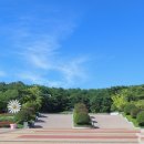 (주)나비원 이미지