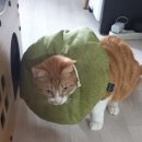 에피소드 동물병원 | 에피소드 동물병원(대구)