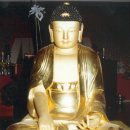 심광사 목조석가모니불좌상 이미지