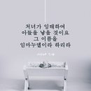 이사야더북