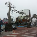 서부두 명품회집거리 이미지