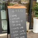 슈가트리(sugar tree)