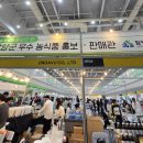 수원컨벤션센터 | 2026 수원메가쇼 수원컨벤션센터 후기