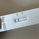 동대문구 휘경2동 주민센터(5층 문화사랑방) | 동대문구 코로나 격리지원금(생활지원금) 신청 후기 / 신청방법, 준비물, 지급날짜