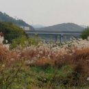 기아대교 이미지