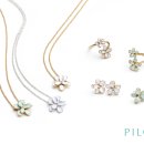 메이플라워 이미지