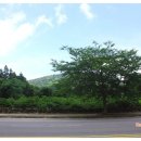 산방산초가집 이미지