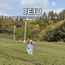 늘푸른충전소 | 제주 오셜록 티 뮤지엄 녹차밭 카페 서귀포 가볼만한 곳