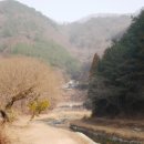 개삼터 | 개삼터 방문 후기: 자연 속의 평화로움 느낄 수 있었어